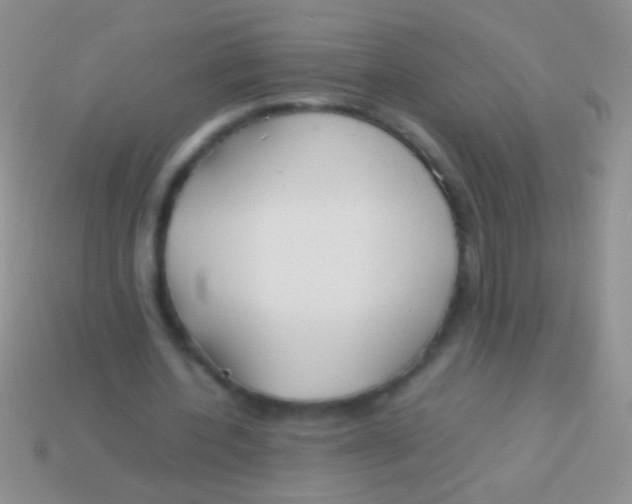 X0000113620532200910161955