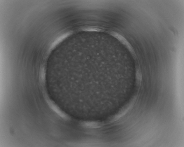 X0000113620533200910161955