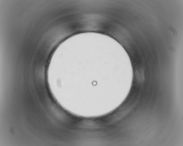X0000113620534200910161955