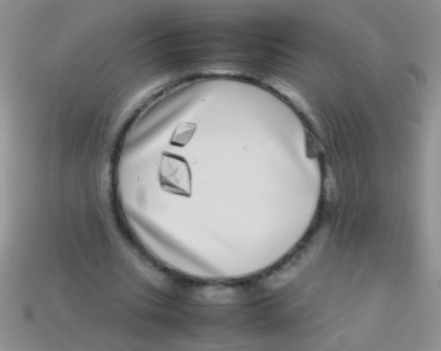 X0000113620535200910161955