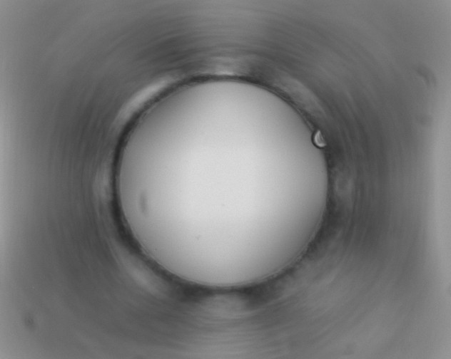 X0000113620536200910161955
