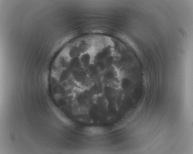 X0000113620537200910161955