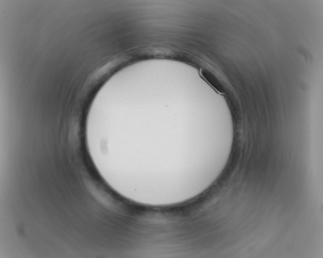 X0000113620538200910161955