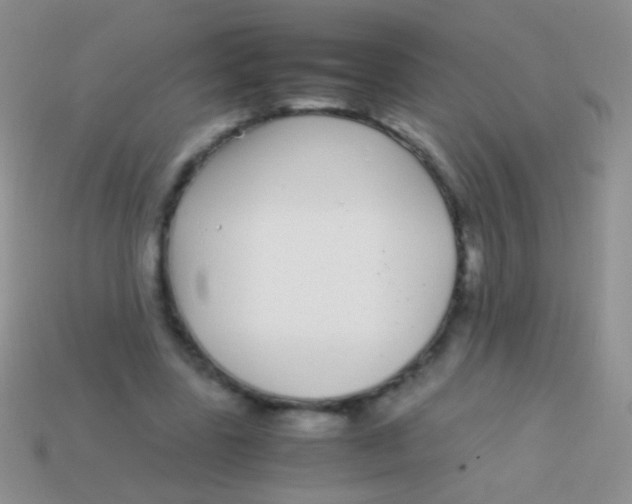 X0000113620539200910161955