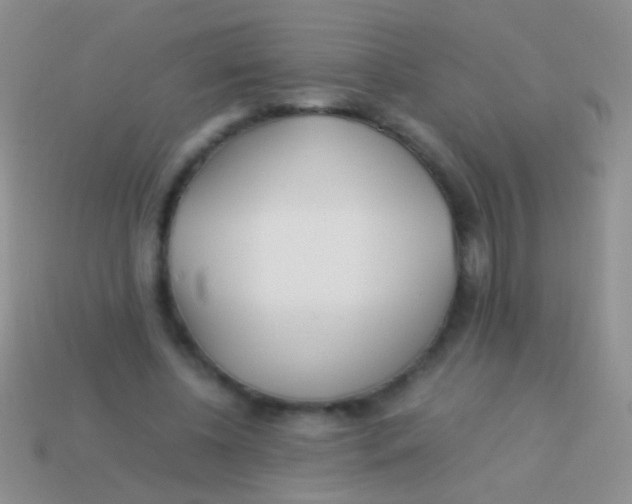 X0000113620540200910161955