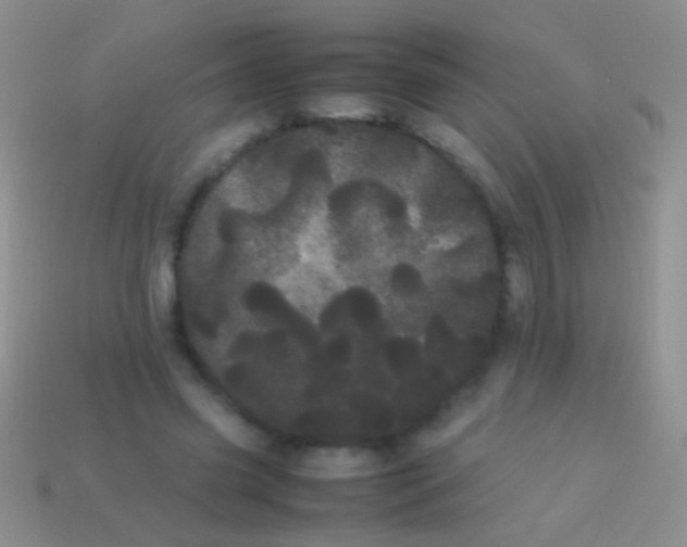 X0000113620541200910161955