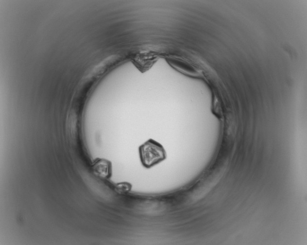 X0000113620542200910161955