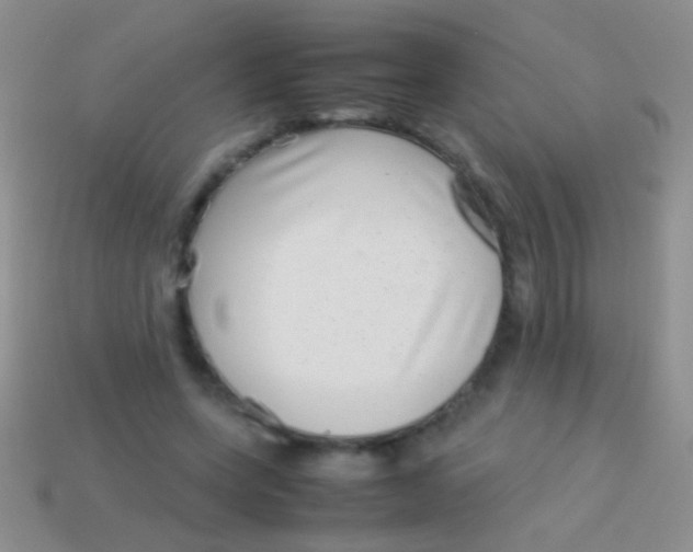 X0000113620543200910161955