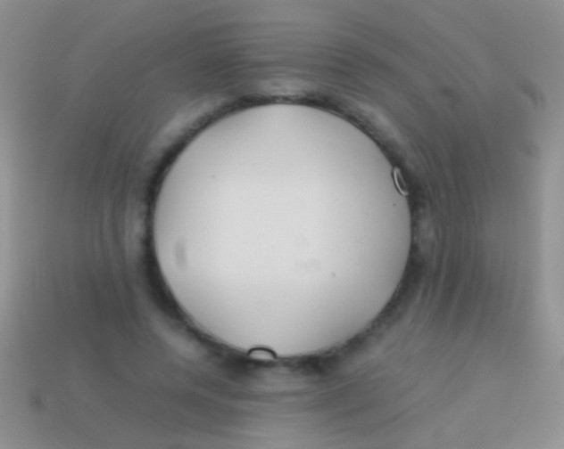 X0000113620544200910161955