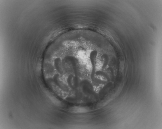 X0000113620545200910161955