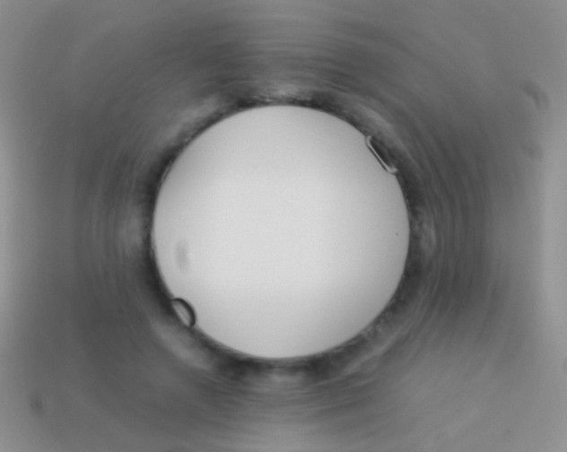 X0000113620546200910161955
