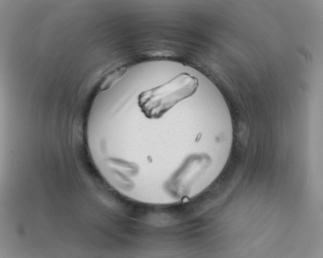 X0000113620547200910161955