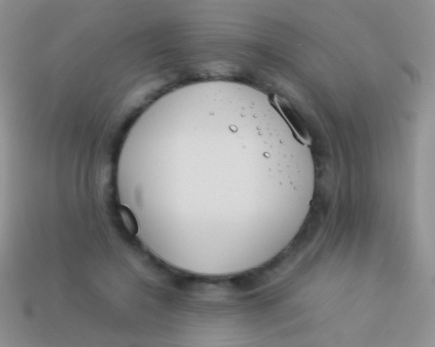 X0000113620548200910161955