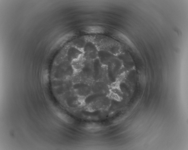 X0000113620549200910161955
