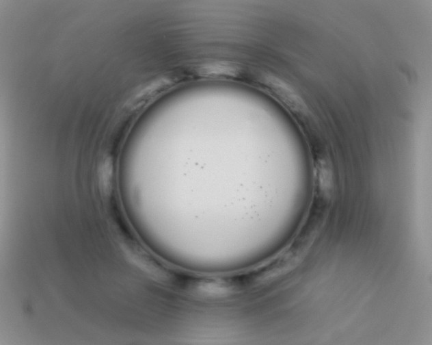 X0000113620550200910161955