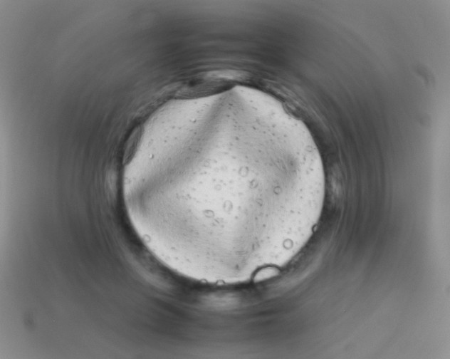 X0000113620551200910161955