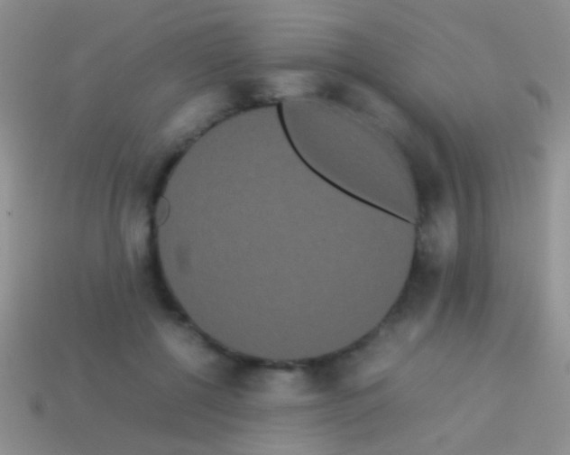 X0000113620552200910161955