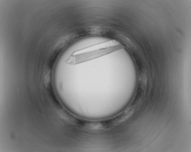 X0000113620554200910161955