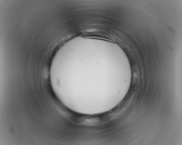 X0000113620555200910161955