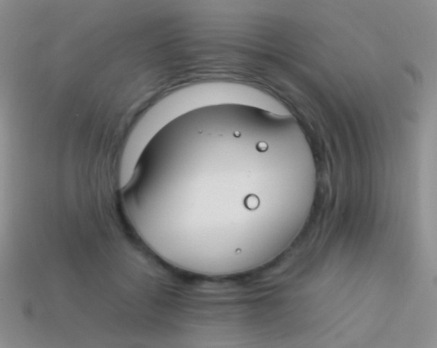 X0000113620556200910161955