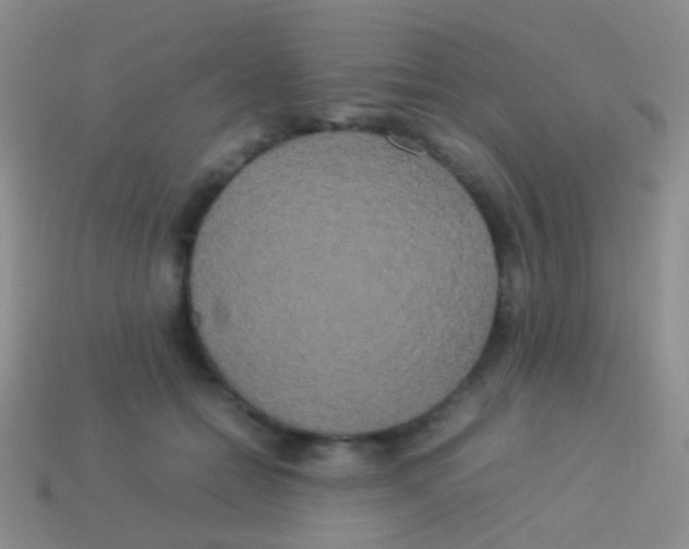 X0000113620558200910161956