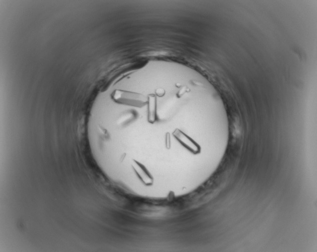 X0000113620559200910161956
