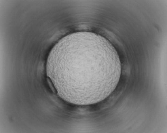 X0000113620560200910161956