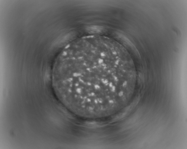 X0000113620561200910161956