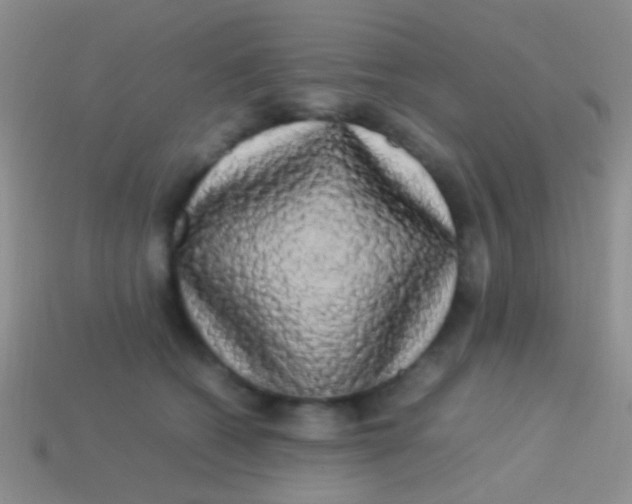 X0000113620562200910161956