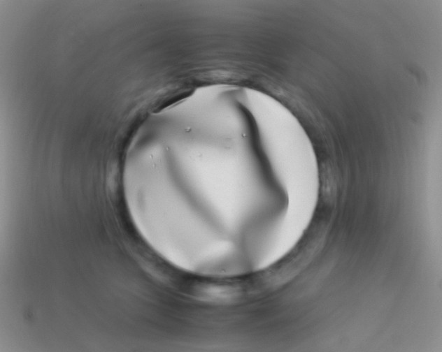 X0000113620563200910161956