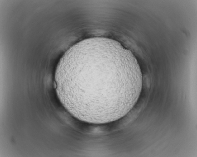 X0000113620564200910161956