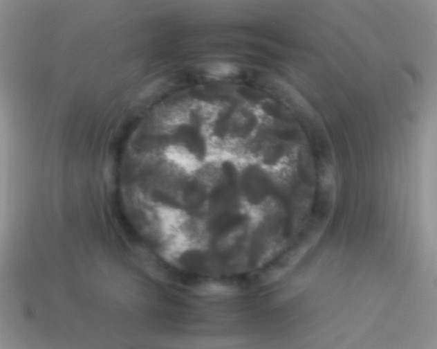 X0000113620565200910161956