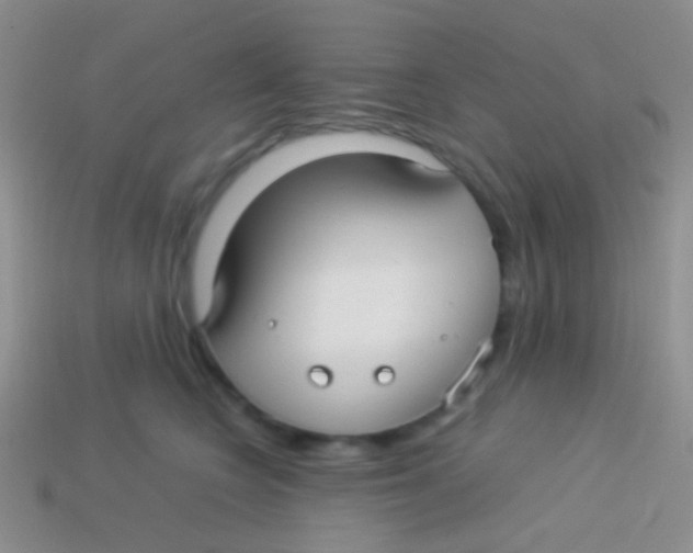 X0000113620566200910161956