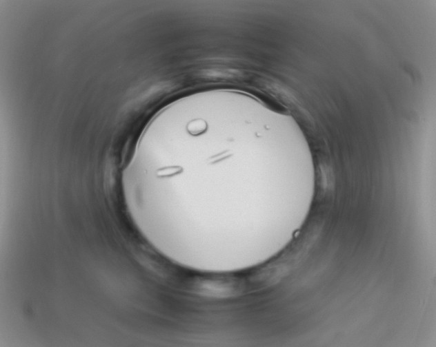 X0000113620567200910161956
