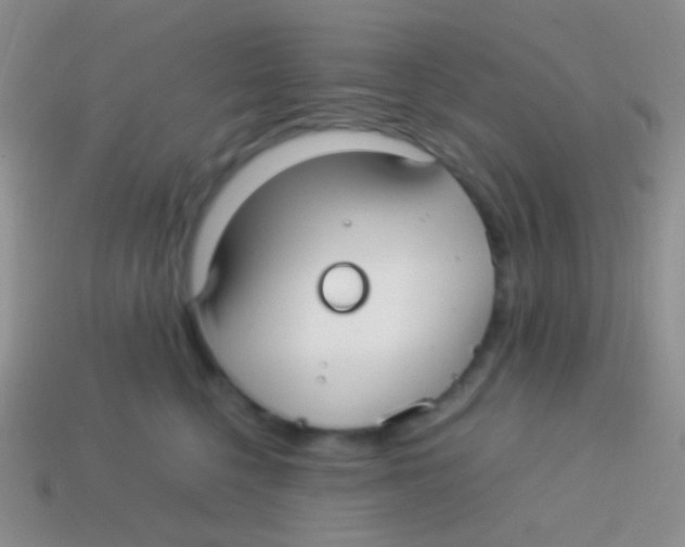 X0000113620568200910161956