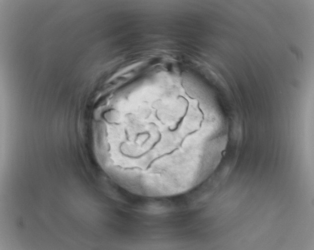 X0000113620569200910161956