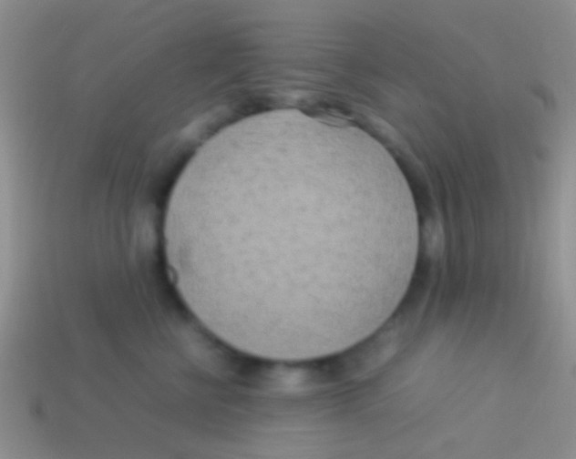 X0000113620570200910161956