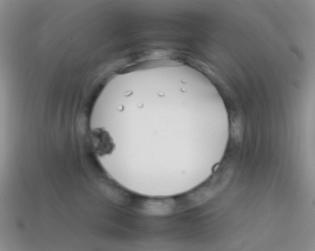 X0000113620571200910161956