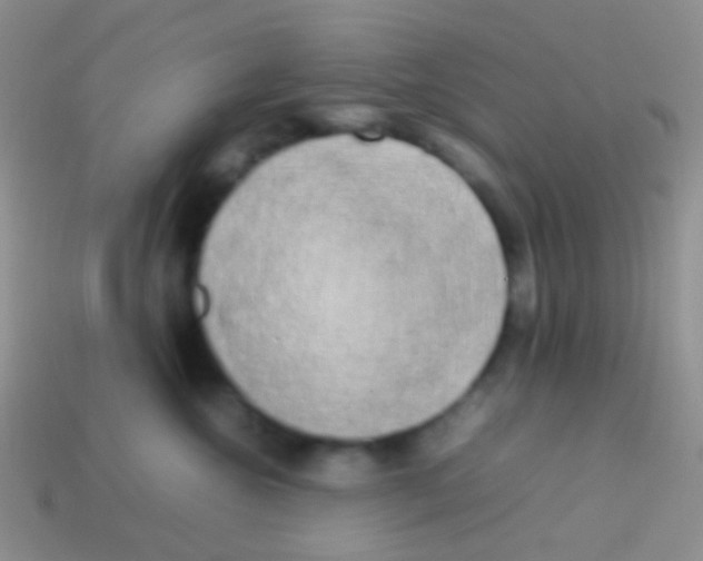 X0000113620572200910161956