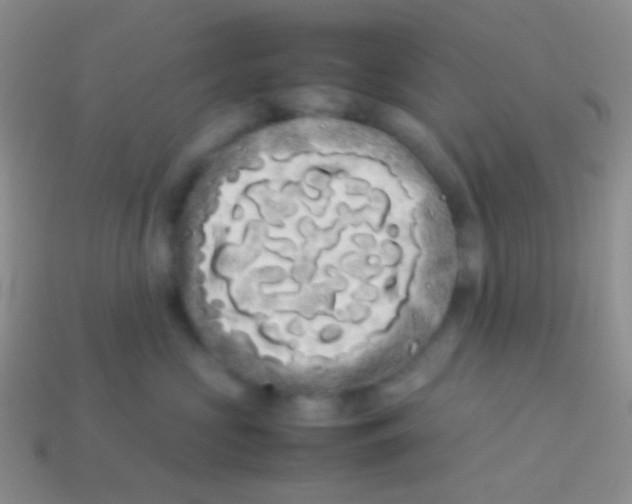 X0000113620573200910161956