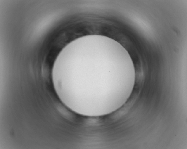 X0000113620574200910161956