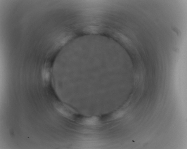 X0000113620576200910161956