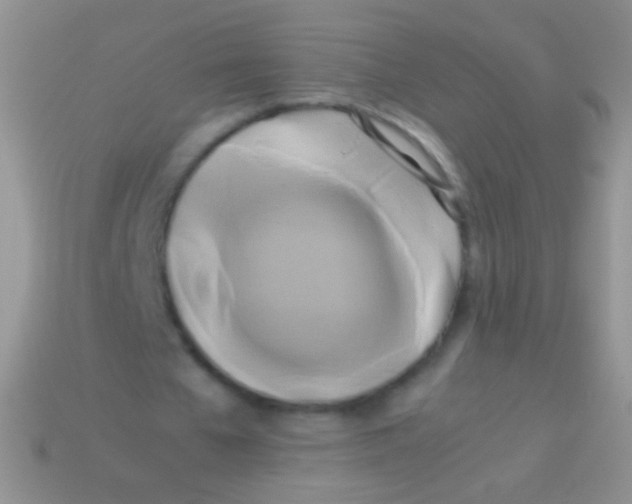 X0000113620577200910161955
