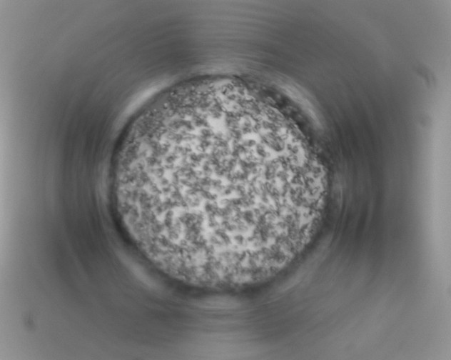 X0000113620578200910161955