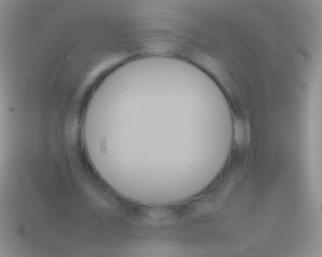X0000113620579200910161955