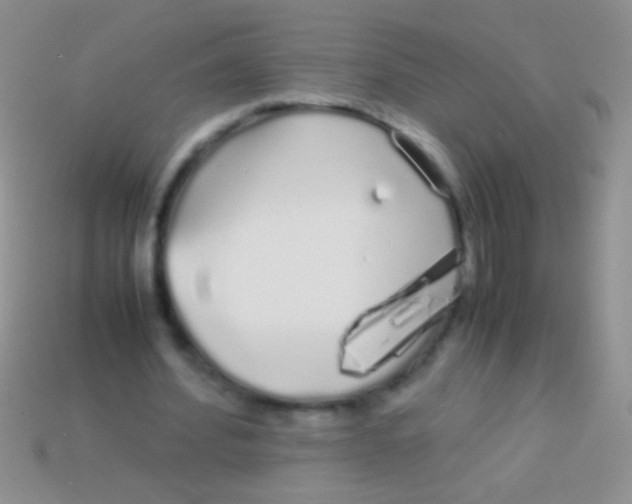 X0000113620580200910161955