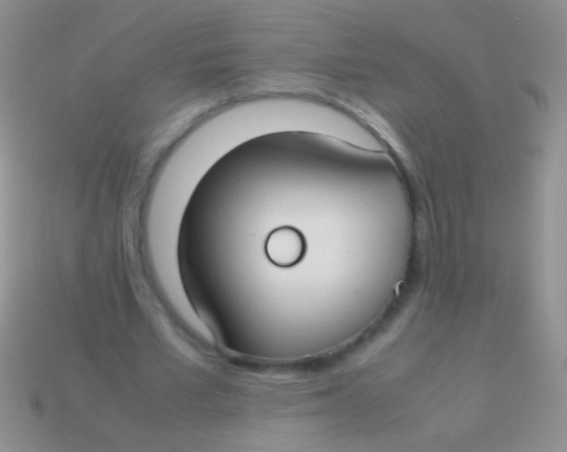 X0000113620581200910161955