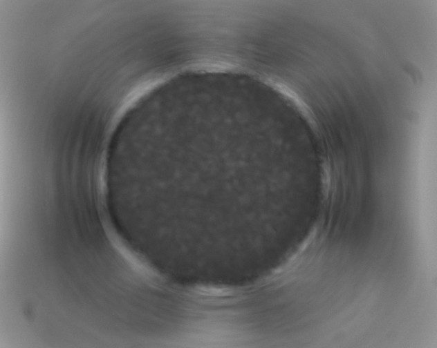 X0000113620582200910161955