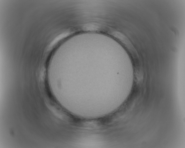 X0000113620583200910161955