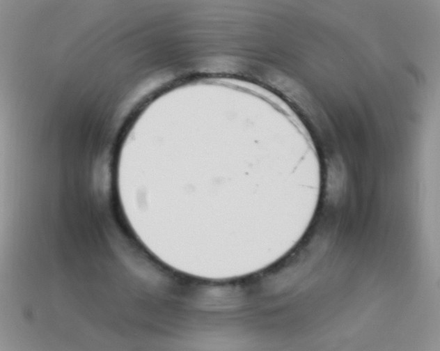 X0000113620584200910161955